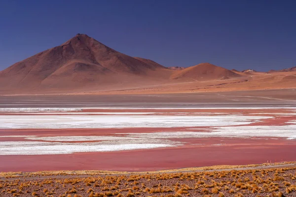 Laguna Colorada Parque Nacional Sur Bolivia — Foto de Stock