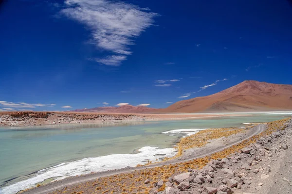 Bolivya Daki Güney Altiplano Daki Yüksek Plato Üzerinde Kaplıcalar — Stok fotoğraf