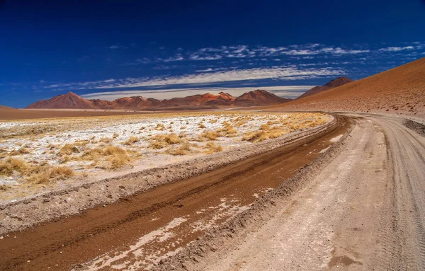 Błotnista Piaszczysta Pustynna Droga Przez Odległą Część Południowego Altiplano Boliwia — Zdjęcie stockowe