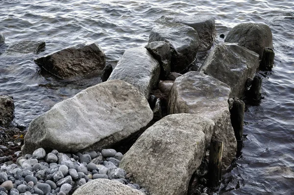 Protezione Marina Sulla Riva Del Mar Baltico — Foto Stock