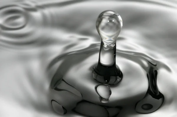 Капля Падает Воду Черно Белом Цвете — стоковое фото