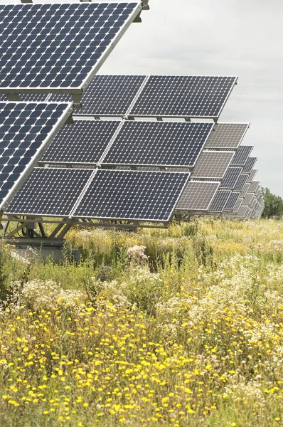 Parque Produção Elétrica Com Painéis Solares — Fotografia de Stock