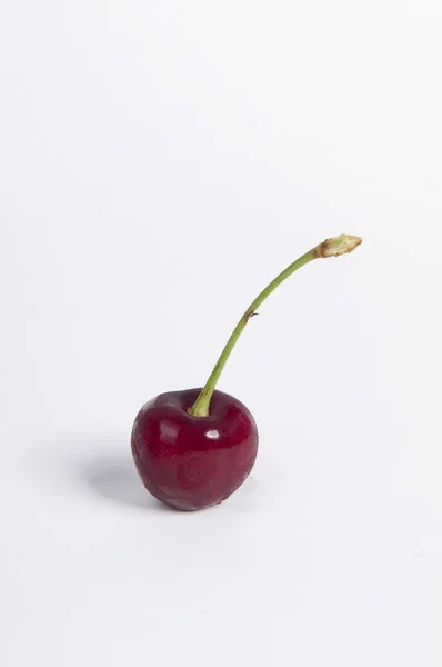 Cerezas Sobre Fondo Blanco — Foto de Stock