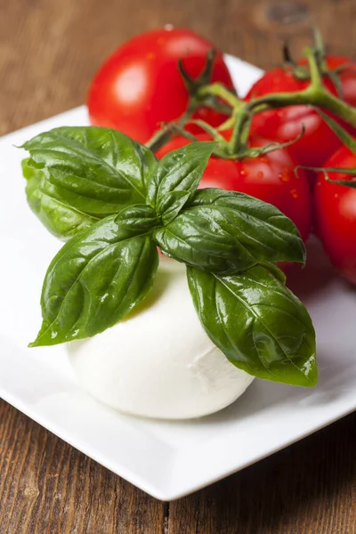 Mozzarella Basilikum Und Tomaten — Stockfoto