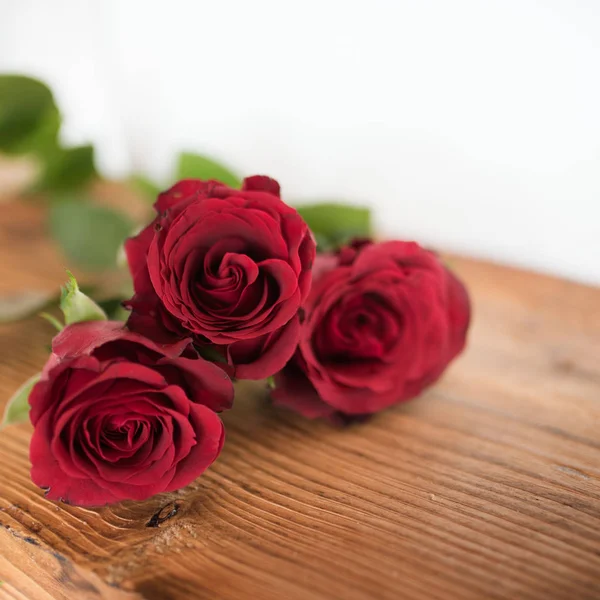 Czerwone Róże Symboliczne Walentynki — Zdjęcie stockowe