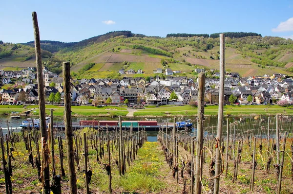 Bobina Moselle Primavera Com Passagem Navio Carga — Fotografia de Stock