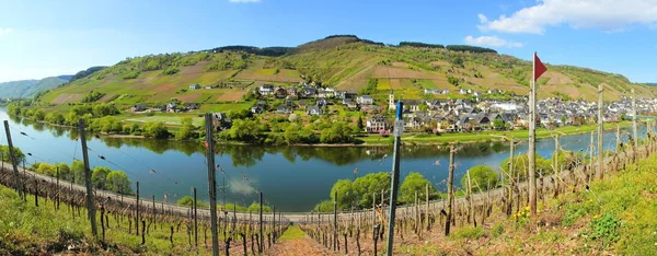 Moselle Völgy Borfalu Reil Panoráma Tavasszal — Stock Fotó