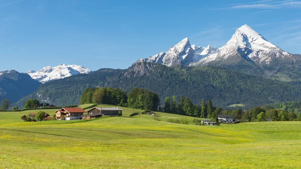 巴伐利亚市Berchtesgaden传统的高山温泉全景景观与Watzmann山 开花草地 — 图库照片