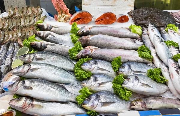 生の新鮮な魚の品種 砕いた氷の上にフィレット スペースでクローズアップ 魚市場の概念 魚市場で異なる魚の新鮮なキャッチ — ストック写真