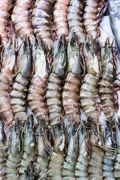 Camarão Fresco Jaz Gelo Frio Venda Camarão Frutos Mar Frescos — Fotografia de Stock