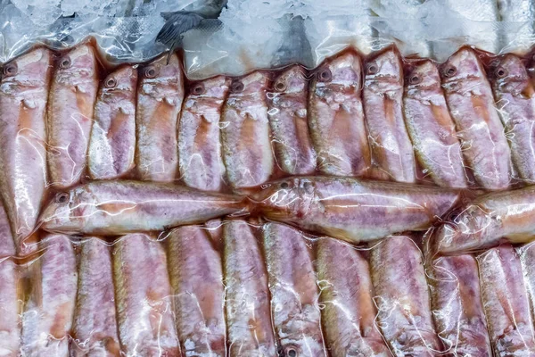 Freshly Caught European Sprats Fish Ice Box Counter Fish Shop — Stock Photo, Image