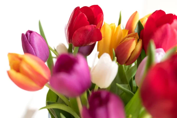 Tulipas Coloridas Para Dia Das Mães Cumprimentos Aniversário — Fotografia de Stock