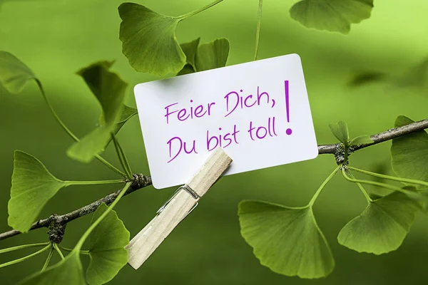 Sich Selbst Feiern Bist Großartig — Stockfoto