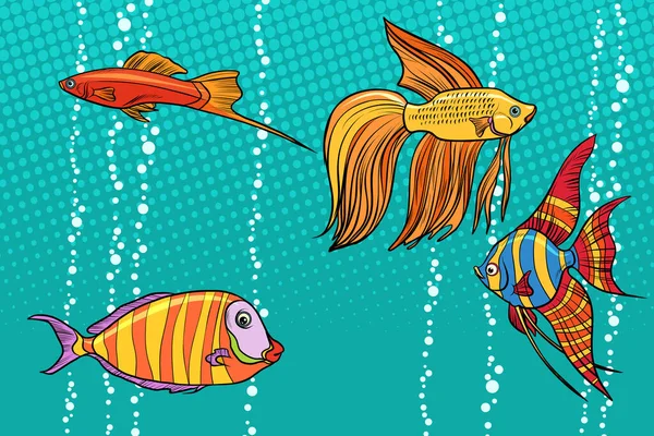 Set Collection Aquarium Fish Pop Art Retro Vector Illustration — Stock Photo, Image