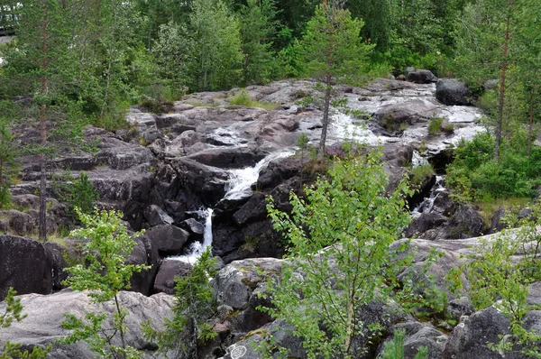 スウェーデン北部にある印象的な急流の周辺では ハイキングやリラックスすることができます 彼らは60メートルの落下でスカンジナビア最大の急流の一つです — ストック写真