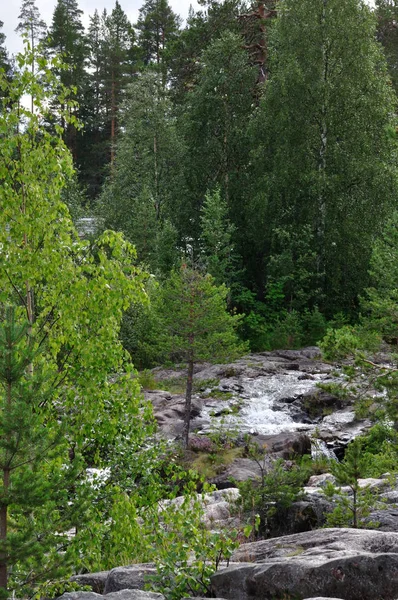 Omgivningarna Kring Den Imponerande Forsen Storforsen Norra Sverige Inbjuder Dig — Stockfoto