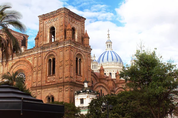 Catedral Concepción Inmaculada Cuenca Ecuador Detalle —  Fotos de Stock