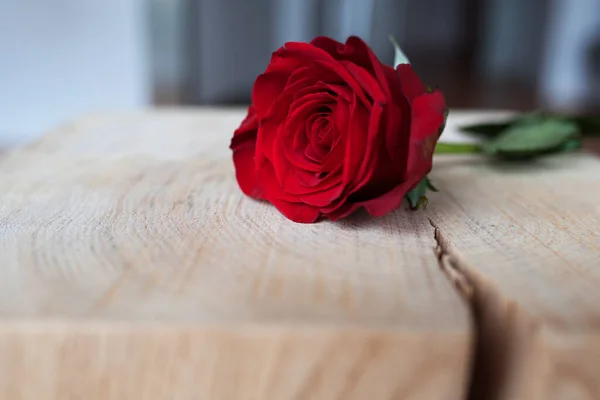 Piękne Czerwone Róże Rustykalnym Drewnie Symboliczne Walentynki — Zdjęcie stockowe