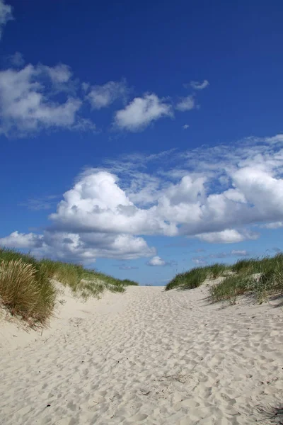 Vue Panoramique Des Dunes Mise Point Sélective — Photo