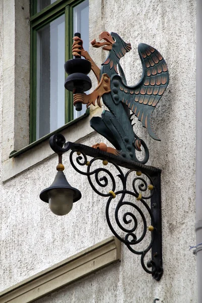 Greifvogel Einem Haus Pirna — Stockfoto