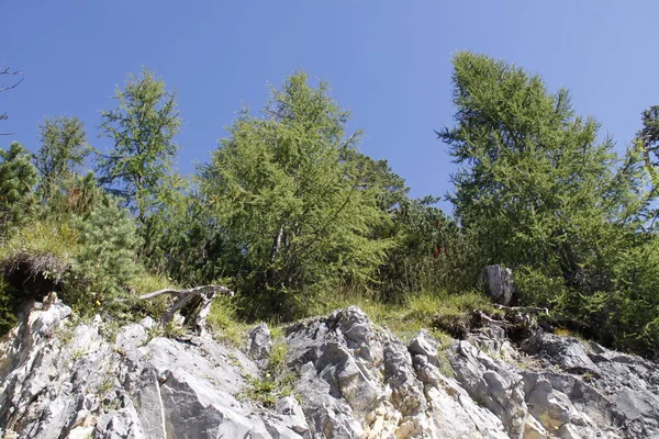 Vackert Landskap Tennengebirge — Stockfoto