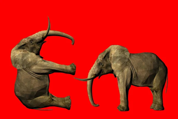 사바나 코끼리 자연의 — 스톡 사진