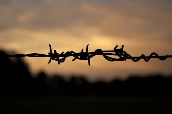 Prikkeldraad Hek Achtergrond Van Lucht — Stockfoto