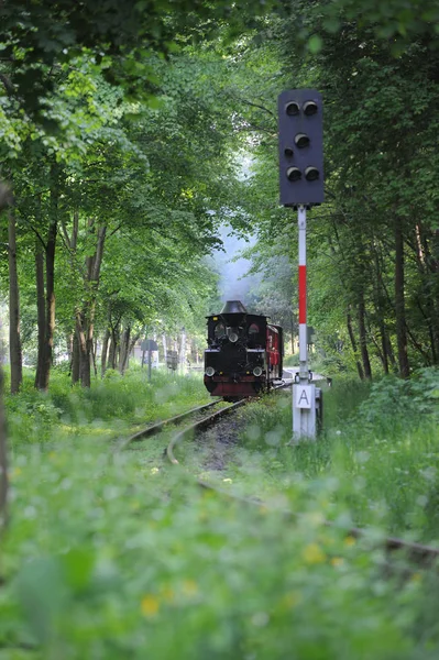 Old Train Park Royalty Free Stock Photos