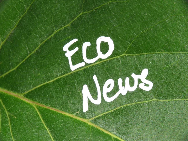 Eco News Zeleném Listu — Stock fotografie