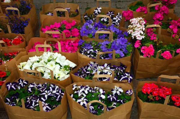 Blumen Braunen Einkaufstaschen — Stockfoto