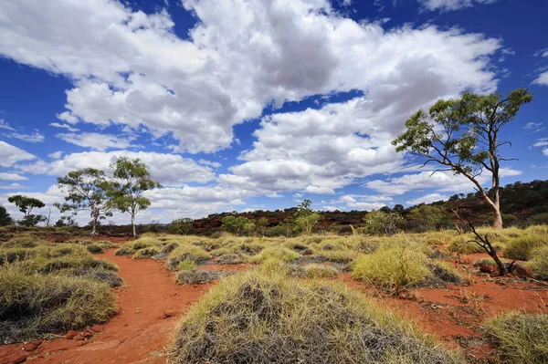 Park Narodowy Watarrka Nnorthern Teritory Australia — Zdjęcie stockowe