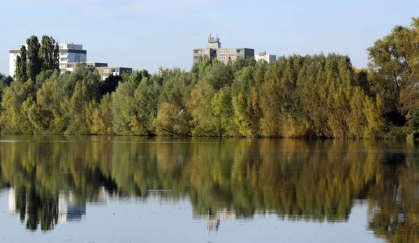 Atmosfera Jesienna Ostrość Selektywna — Zdjęcie stockowe