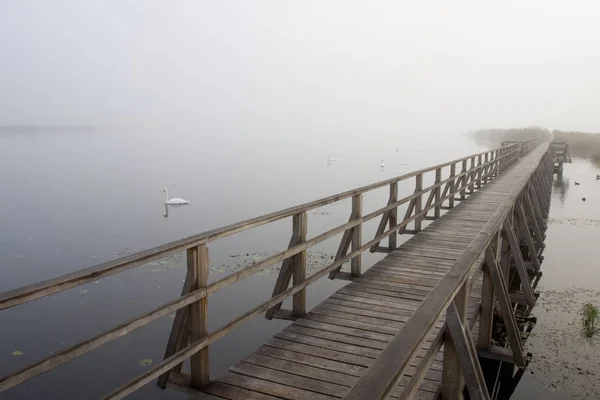 Molo Legno Sul Lago — Foto Stock