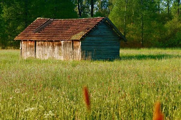 Altes Holzhaus Auf Dem Feld — Stockfoto