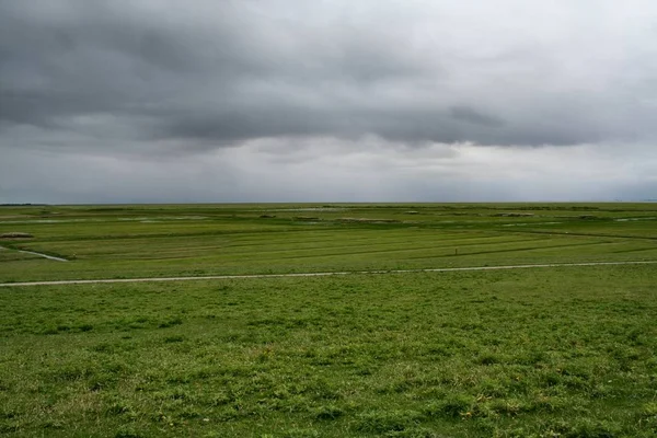 Landschappelijke Visie Landbouw Het Platteland — Stockfoto