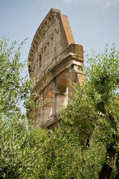 Ruïnes Van Oude Stad Efeze Het Noorden Van Hoofdstad Van — Stockfoto