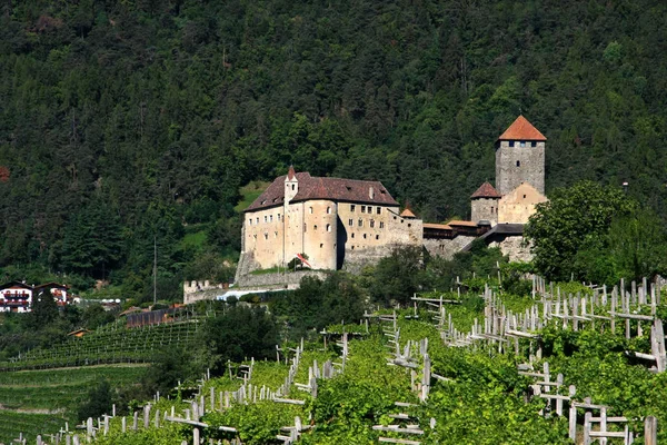 Castel Tirolo Perto Merano Tirol Sul — Fotografia de Stock