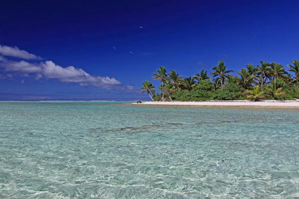 Maldivas Branco Areia Praia Fundo Ensolarado Tropical Paraíso Ilha Com — Fotografia de Stock