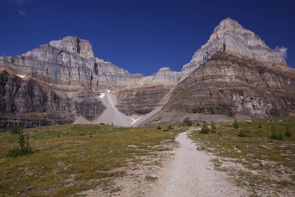 Bella Vista Della Scena Della Natura — Foto Stock