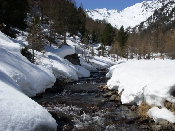 Ultental Sydtyrolen — Stockfoto