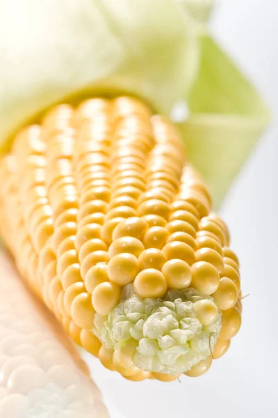 Maiskolben Maiskörner Gemüse — Stockfoto