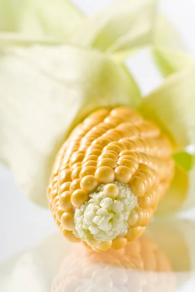 Kukuřice Kukuřičná Zrna Zelenina — Stock fotografie