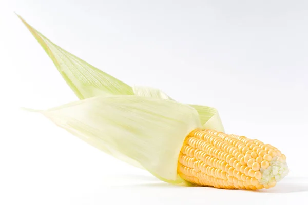 Maiskolben Maiskörner Gemüse — Stockfoto