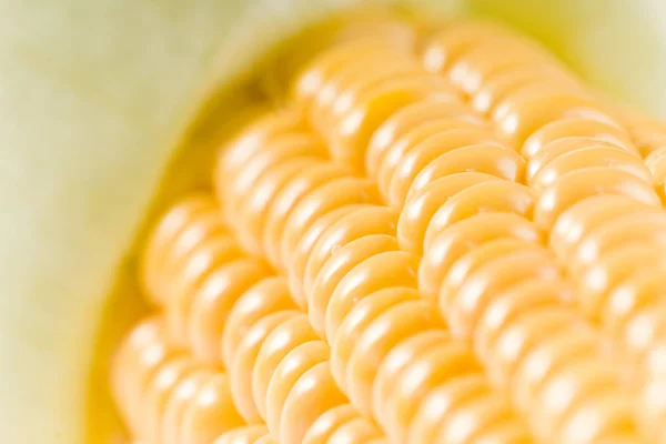 Кукурудза Зерна Кукурудзи Овочі — стокове фото