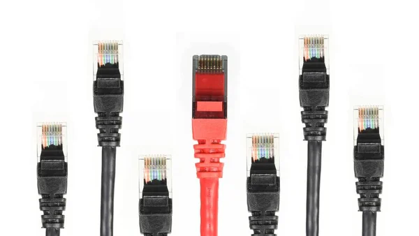 Kabel Internetowy Dla Sieci — Zdjęcie stockowe