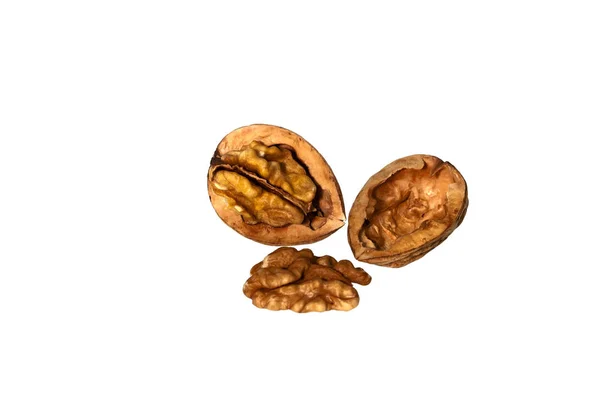Sezónní Ořechy Hnědé Ořechy Jídlo — Stock fotografie