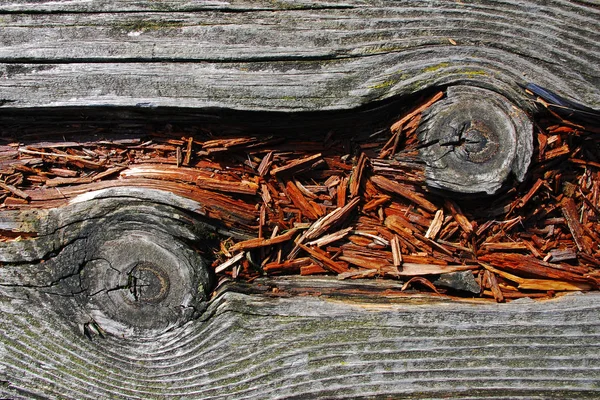 Vecchio Sfondo Legno Con Texture Naturale — Foto Stock