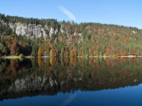 Pole Jezero Černý Les — Stock fotografie