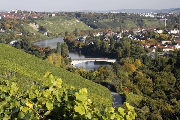 Vineyards Bad Cannstatt Neckar Hillside Cannstatter — Stok Foto