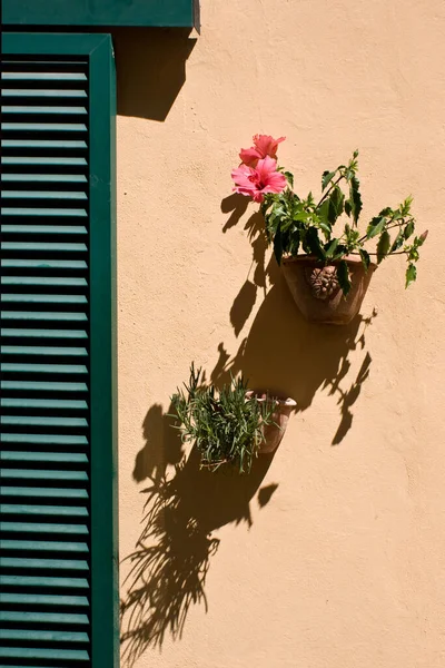 Finestra Con Fiori Nel Paese Italiano — Foto Stock